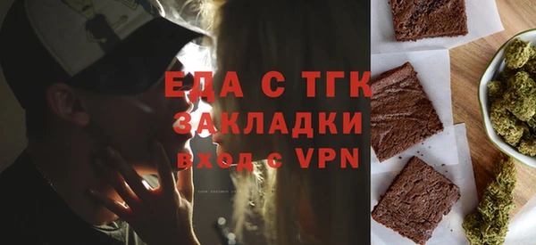 индика Алексин