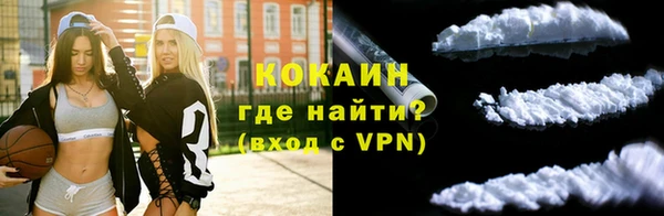 гидра Абаза