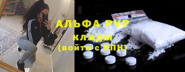 гидра Абаза