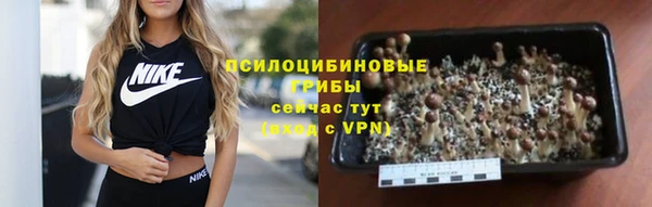 гидра Абаза