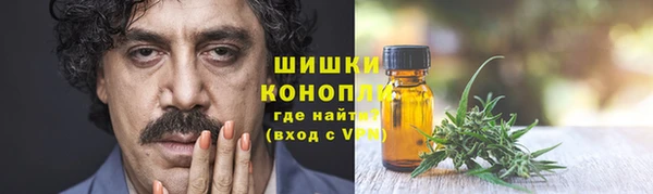 гидра Абаза