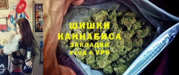 гидра Абаза