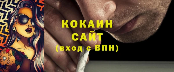 гидра Абаза