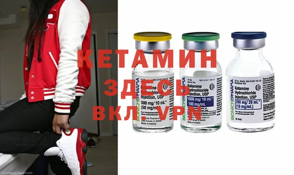 индика Алексин