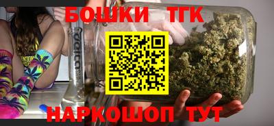 МДПВ Пушкино