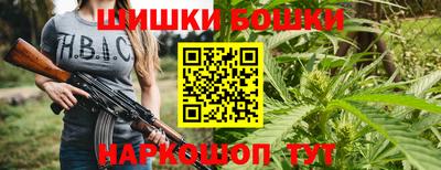 МДПВ Пушкино