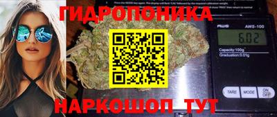 амф Пугачёв
