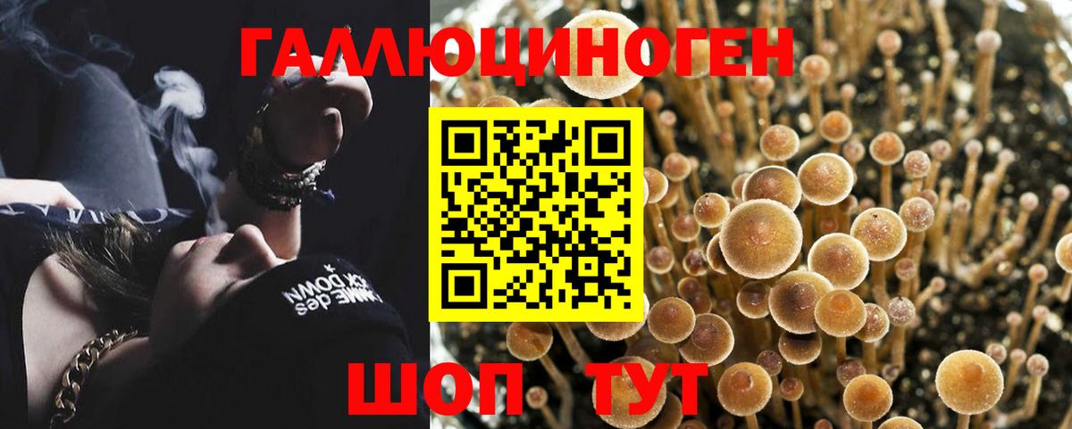 Псилоцибиновые грибы GOLDEN TEACHER  Галлюциногенные грибы ЛСД  Вход с VPN  Ухта 